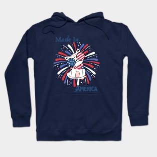 Made in America Cat Patriotic Design Hoodie